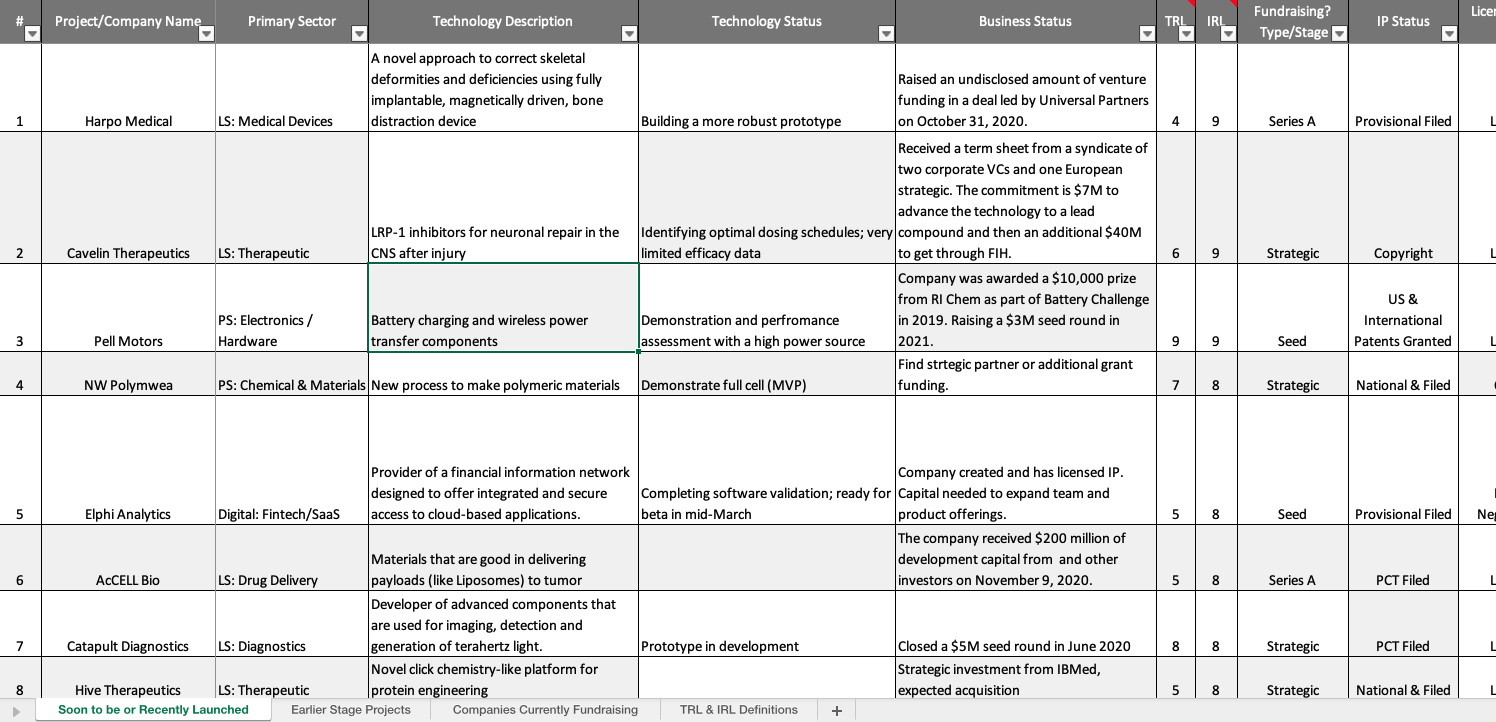 A preview of the U-M pipeline report template. Please note: All information in the spreadsheet is fictional.